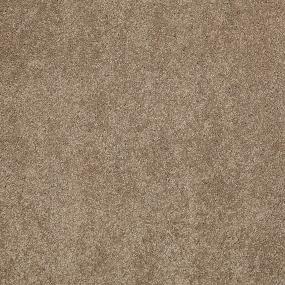 Textured Saxony Desktop Brown Carpet