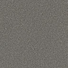 Textured Saxony Validity Gray Carpet