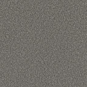 Textured Saxony Validity Gray Carpet