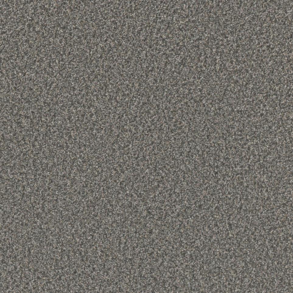 Textured Saxony Validity Gray Carpet