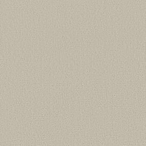 Pattern Cottage Beige/Tan Carpet