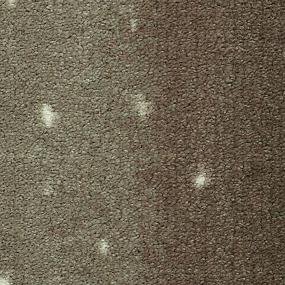 Pattern Taupe Antelope Brown Carpet