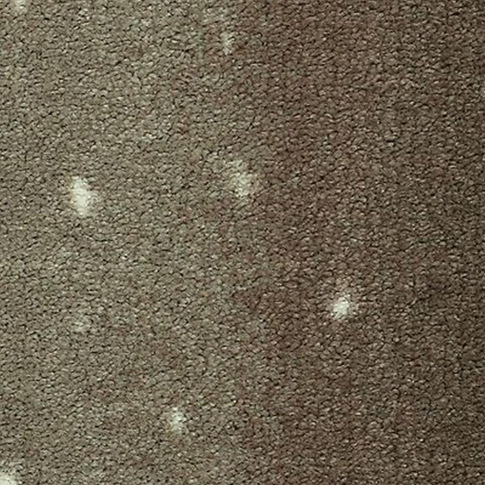 Pattern Taupe Antelope Brown Carpet