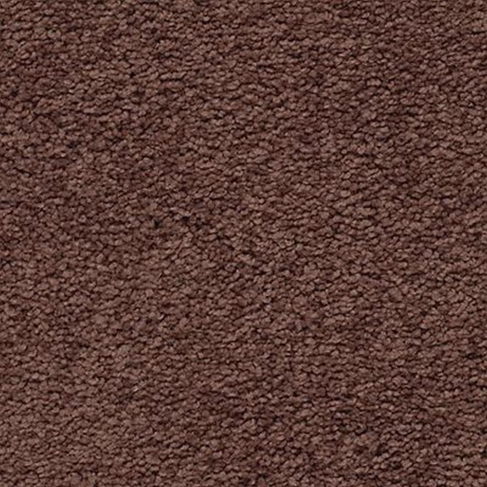 Textured Saxony Before Winter Brown Carpet