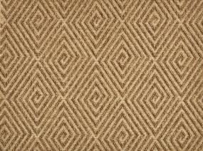 Pattern Burnt Umber Beige/Tan Carpet