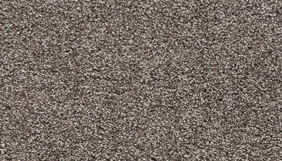 Textured Saxony Toffee Brown Carpet