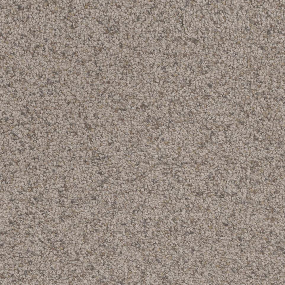 Textured Saxony Toasted Seed Beige/Tan Carpet