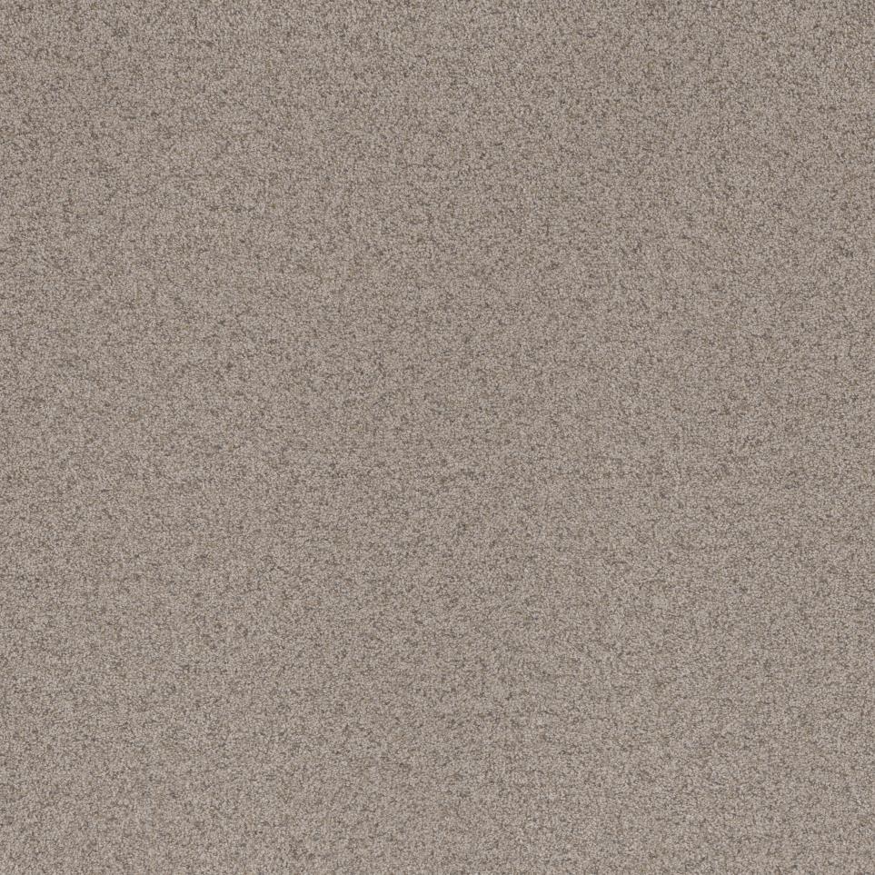 Texture Toasted Seed Beige/Tan Carpet