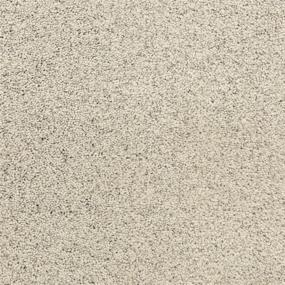 Textured Saxony Pebble Beach Beige/Tan Carpet