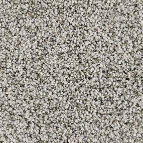 Textured Saxony Wintermoss Gray Carpet