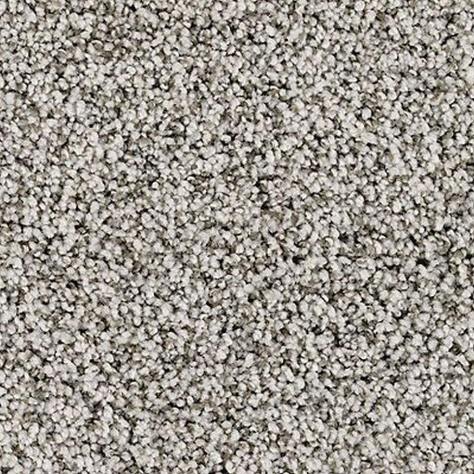 Textured Saxony Wintermoss Gray Carpet
