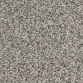 Textured Saxony Pashmina Beige/Tan Carpet