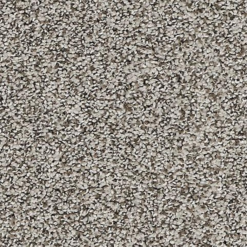 Textured Saxony Pashmina Beige/Tan Carpet