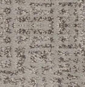 Pattern Fossil Brown Carpet