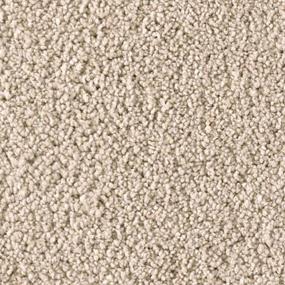 Textured Saxony FIRST CHOICE Beige/Tan Carpet