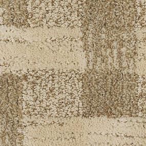 Pattern Toasted Almond Beige/Tan Carpet