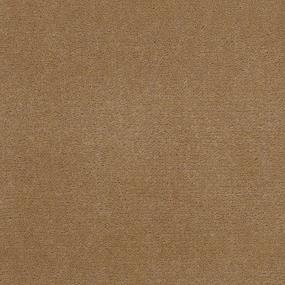 Cut Pile Knapsack Beige/Tan Carpet