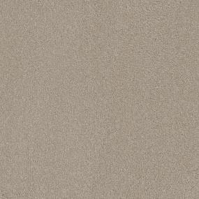 Texture Bliss Beige/Tan Carpet