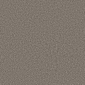 Casual Texture Soft Landing Brown Carpet