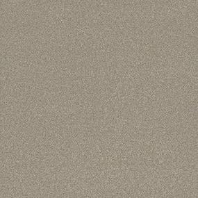 Textured Saxony Picnic Gray Carpet