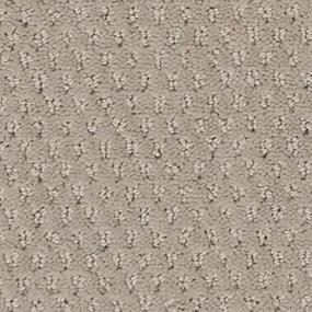 Pattern Haven Beige/Tan Carpet