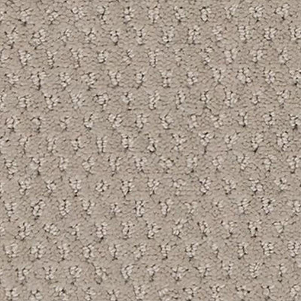 Pattern Haven Beige/Tan Carpet