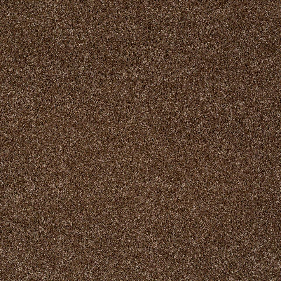 Texture Mammoth Brown Carpet