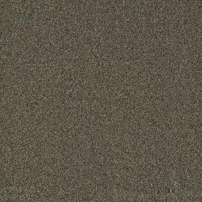 Textured Saxony Tweed Beige/Tan Carpet