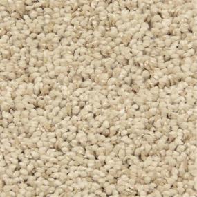 Casual Texture Exotic Realm Beige/Tan Carpet