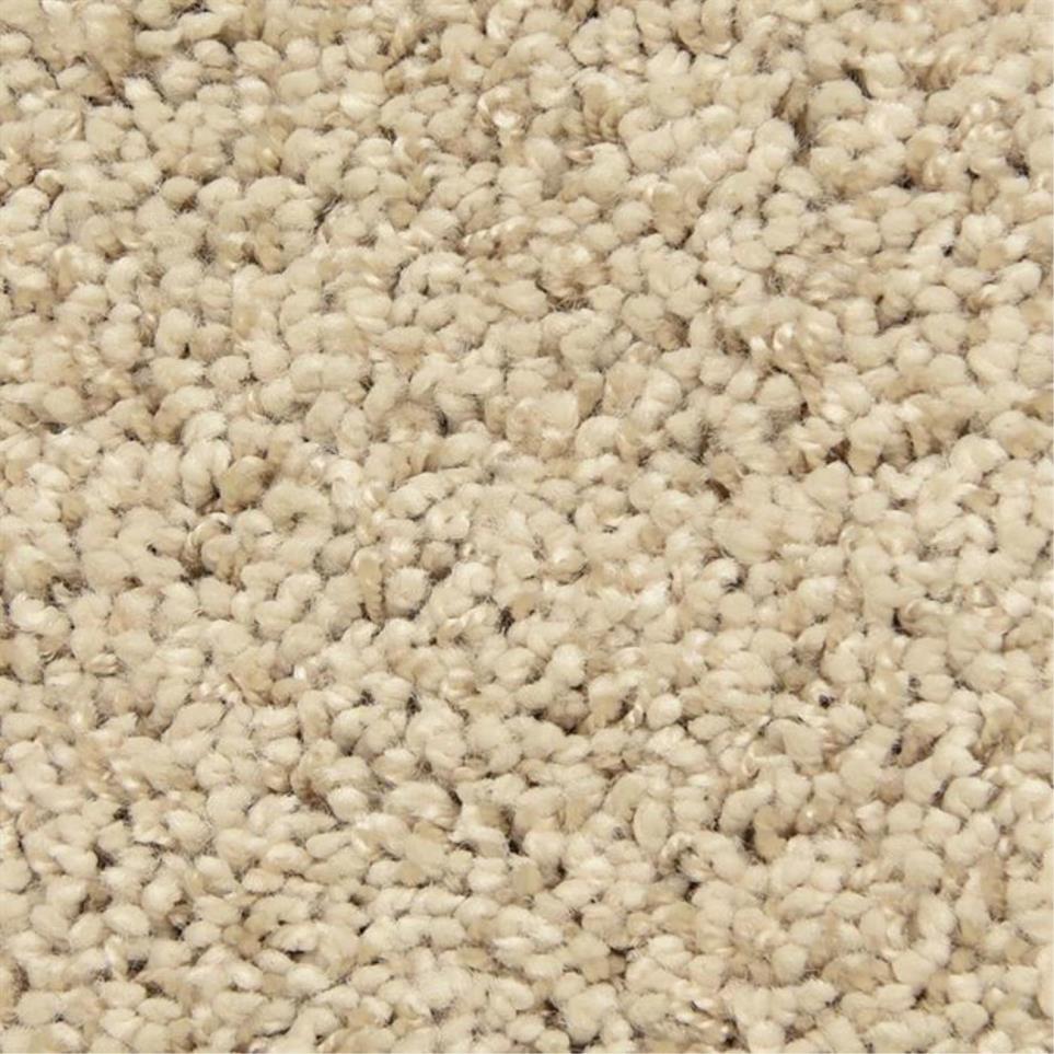 Casual Texture Exotic Realm Beige/Tan Carpet