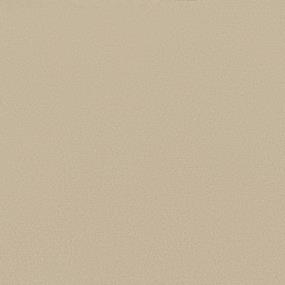 Textured Saxony White Wine Beige/Tan Carpet