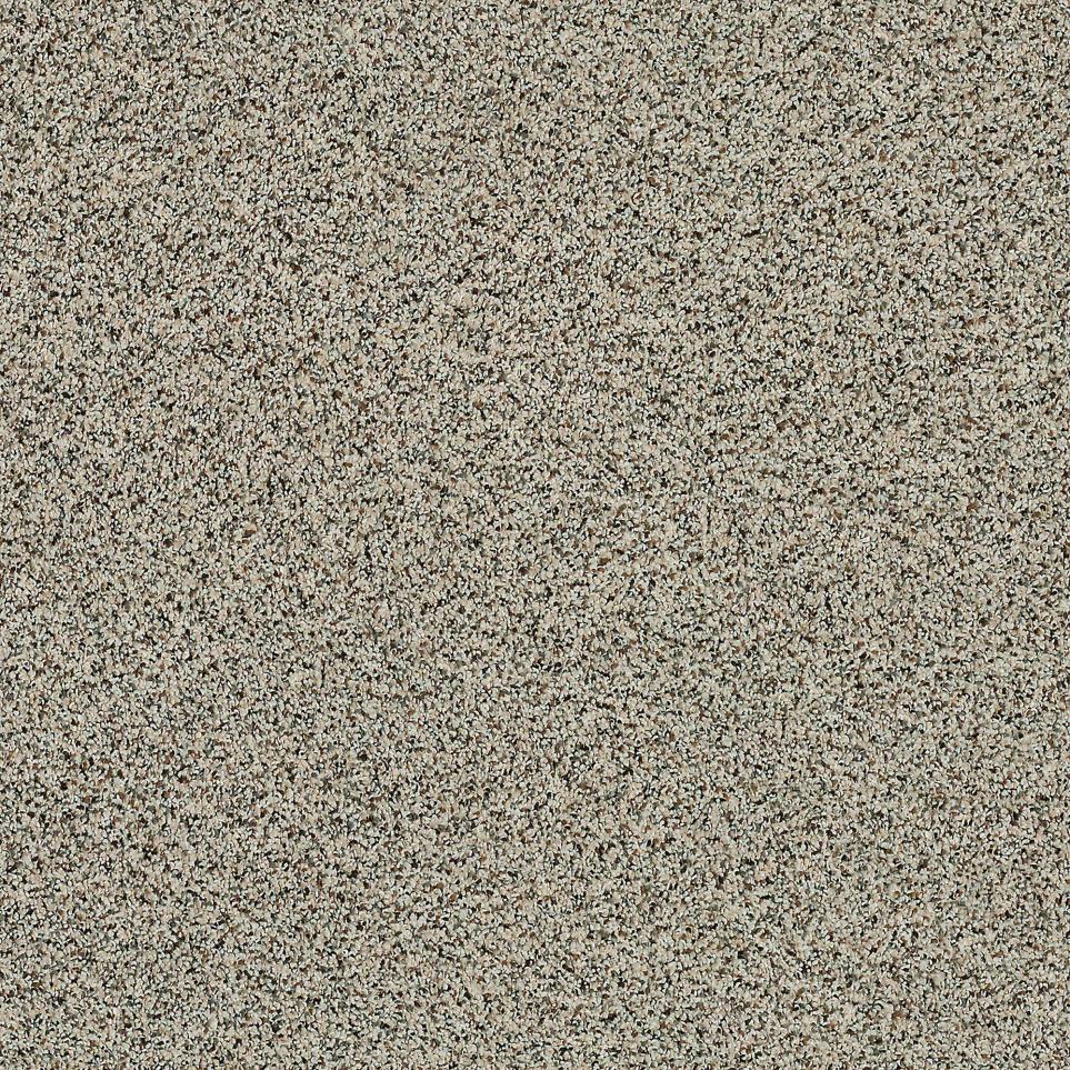 Texture White Chocolate Beige/Tan Carpet