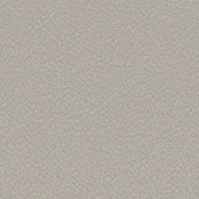 Pattern Mesa Beige/Tan Carpet