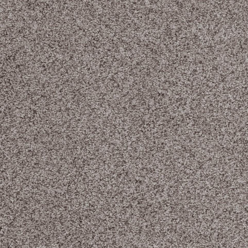 Plush Shitake Beige/Tan Carpet