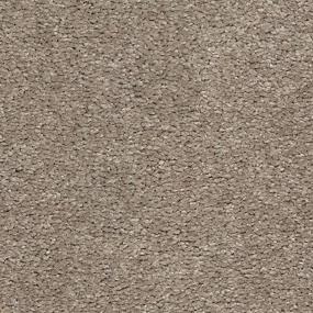 Textured Saxony Bare Necessities Beige/Tan Carpet