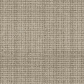 Pattern SOFT TAN Beige/Tan Carpet
