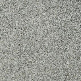 Texture Cypress  Carpet