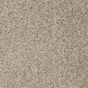 Texture Dolphin Brown Carpet