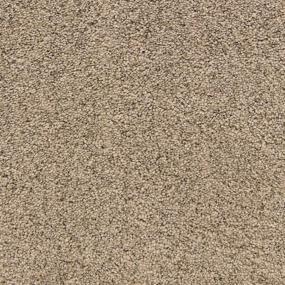 Texture Driftwood  Carpet