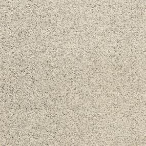 Texture Pebble Beach Beige/Tan Carpet
