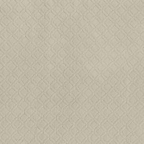Pattern Salt Box Beige/Tan Carpet