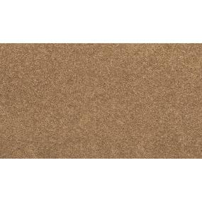 Textured Saxony Deck Beige/Tan Carpet