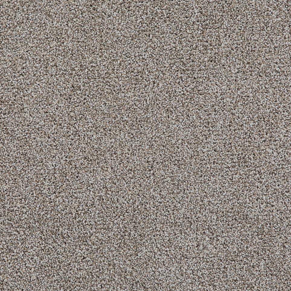 Cut Pile TIRAMISU Gray Carpet