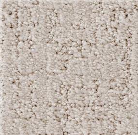Pattern Sunkissed Beige/Tan Carpet