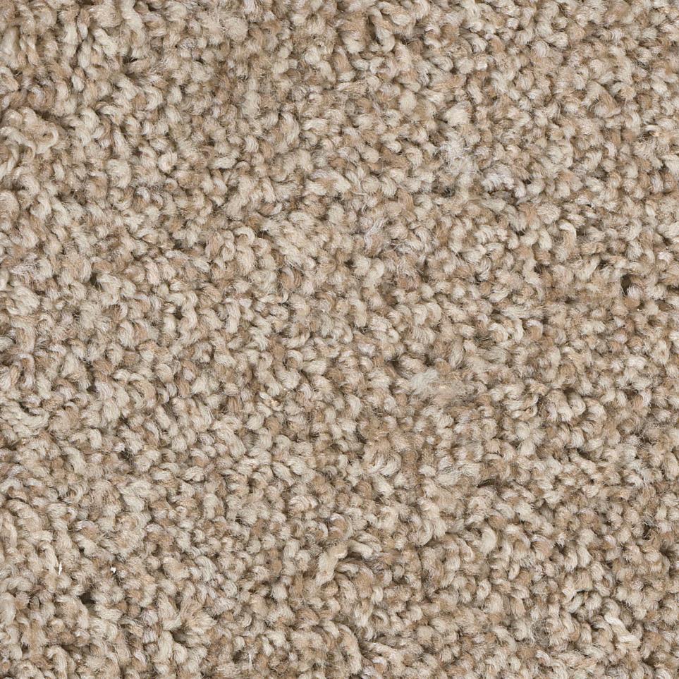 Texture Scenic  Carpet
