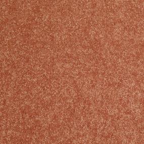 Textured Saxony Tangerine Orange Carpet