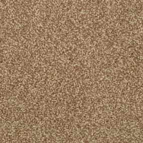Casual Texture Mountain Mist Brown Carpet