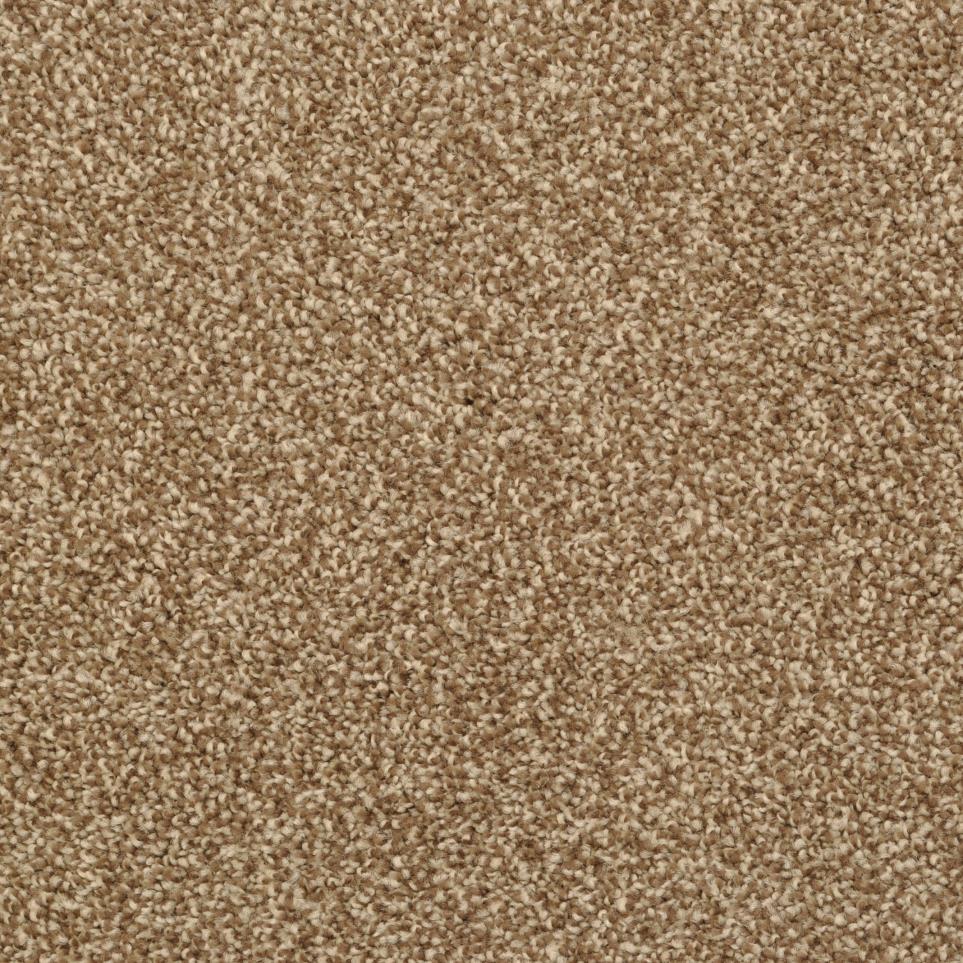 Casual Texture Mountain Mist Brown Carpet