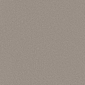 Cut Pile MISTY HARBOR Gray Carpet