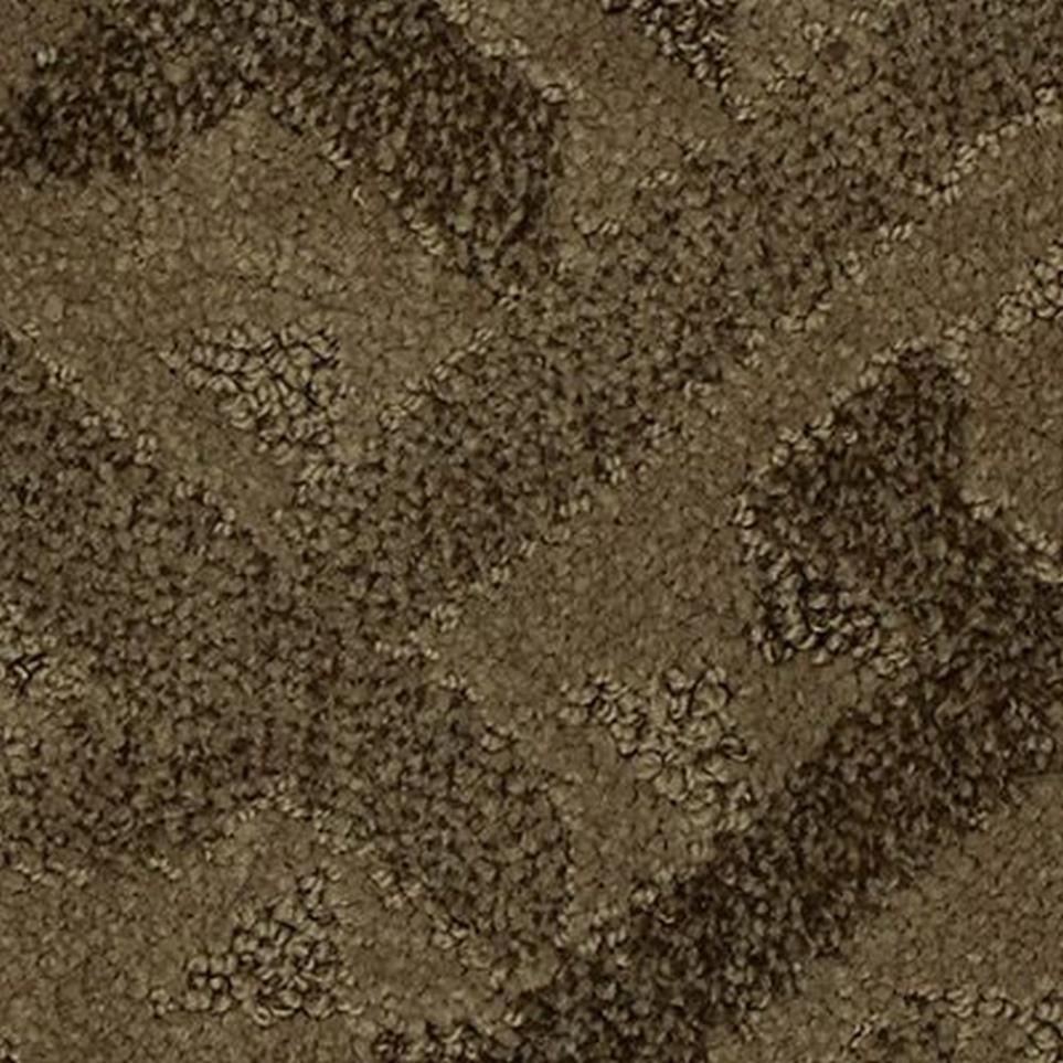 Pattern Teton Range Brown Carpet